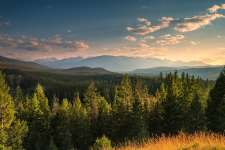 Favoriser les pratiques durables dans nos produits, nos emballages et notre chaîne logistique