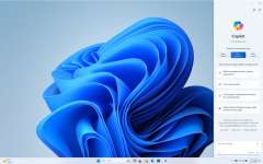 Windows 11