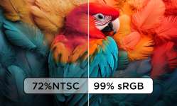 <p>Vivid Visual Reproduction</p>