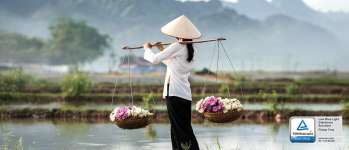 Un meilleur confort visuel Un meilleur confort visuel