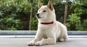 Caméra Fusion 48 MP  Clic, un portrait magnifique.