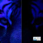 Faibles émissions de lumière bleue