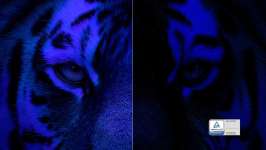 Faible lumière bleue Faible lumière bleue