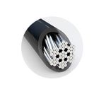 Technologie anti-crochetage brevetée Hidden Pin™ et câble en acier au carbone.