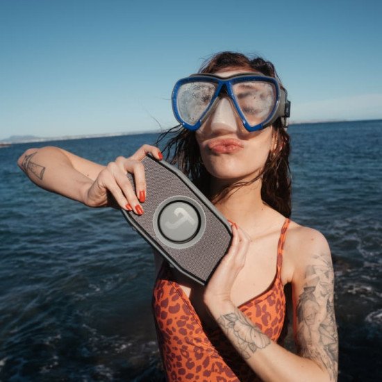 Teufel ROCKSTER GO Enceinte portable mono Gris