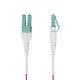 StarTech.com Câble Fibre Optique Multimode OM4 LC vers LC (UPC) de 5m, Erika Violet, 50/125 µm, 40G/100G, LOMMF/VCSEL, Cordon de Raccordement Fibre Optique Uniboot, Certifié OFNR Riser StarTech.com Câble Fibre Optique Multimode OM4 LC vers LC (UPC) de 5m, Erika Violet, 50/125 µm, 40G/100G, LOMMF/VCSEL, Cordon de Raccordement Fibre Optique Uniboot, Certifié OFNR Riser