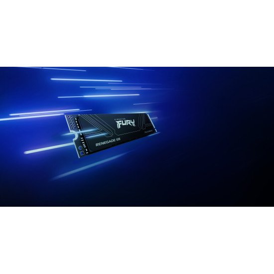 Kingston Technology 1T FURY RENEGADE G5 M.2 2280 NVMe SSD Kingston Technology 1T FURY RENEGADE G5 M.2 2280 NVMe SSD