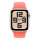 Apple MDRR4ZM/A accessoire intelligent à porter sur soi Bande Orange Fluoroélastomère Apple MDRR4ZM/A accessoire intelligent à porter sur soi Bande Orange Fluoroélastomère