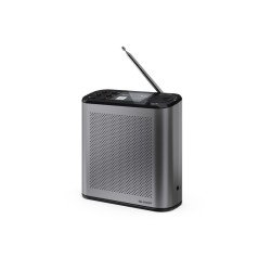 Sharp Digitalradio DR-P530 GR Portable