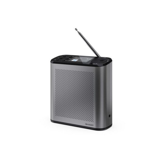 Sharp Digitalradio DR-P530 GR Portable
