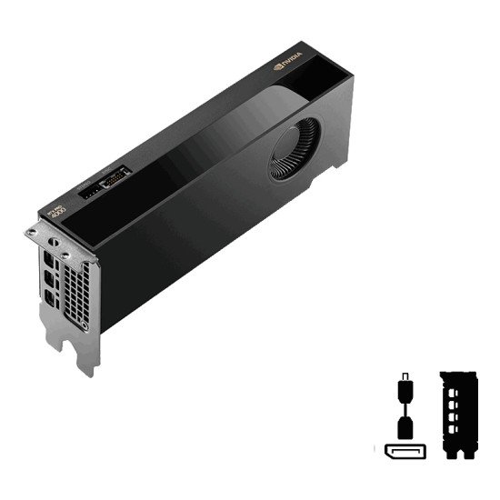 PNY RTX PRO 4000 Blackwell NVIDIA 24 Go GDDR7