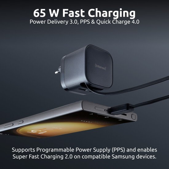 Intenso 7806520 adaptateur de puissance & onduleur Intérieure 65 W Noir