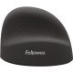 Fellowes 100143579 souris Universel Droitier Bluetooth + USB Type-C Optique 1600 DPI