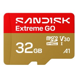 SanDisk Extreme GO 32 Go MicroSDHC UHS-I