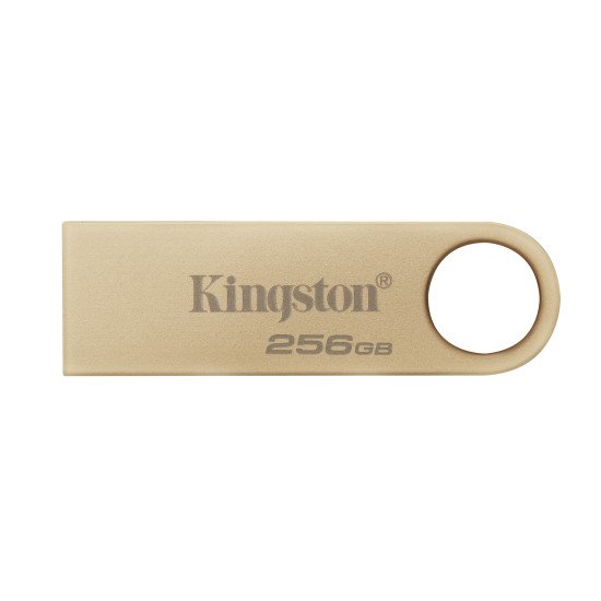 Kingston Technology DataTraveler 256Go 220Mo/s Clé USB 3.2 Gen 1 Métal SE9 G3