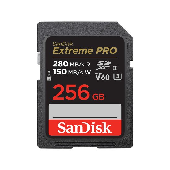 SanDisk SDSDXEP-256G-GN4IN mémoire flash 256 Go SDXC UHS-II Classe 10