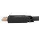 C2G C2G50114 câble DisplayPort 3,05 m Noir
