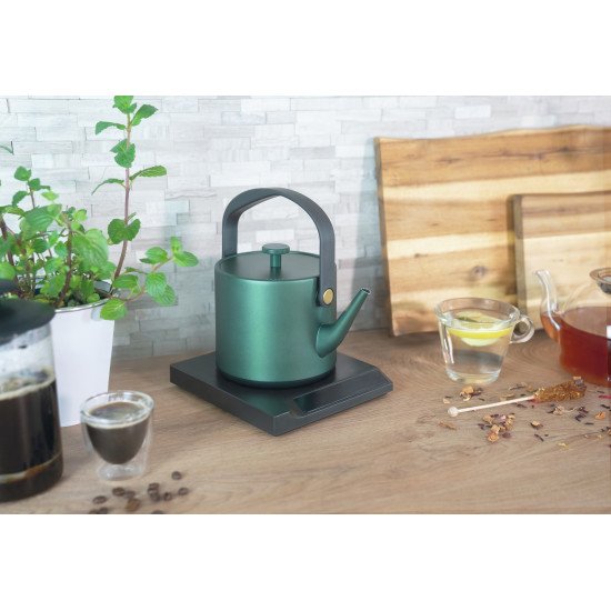 Unold 18217 BLITZKOCHER Jade bouilloire 0,6 L 800 W Vert Unold 18217 BLITZKOCHER Jade bouilloire 0,6 L 800 W Vert
