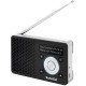 TechniSat DIGITRADIO 1 A Portable Analogique et numérique Noir, Argent