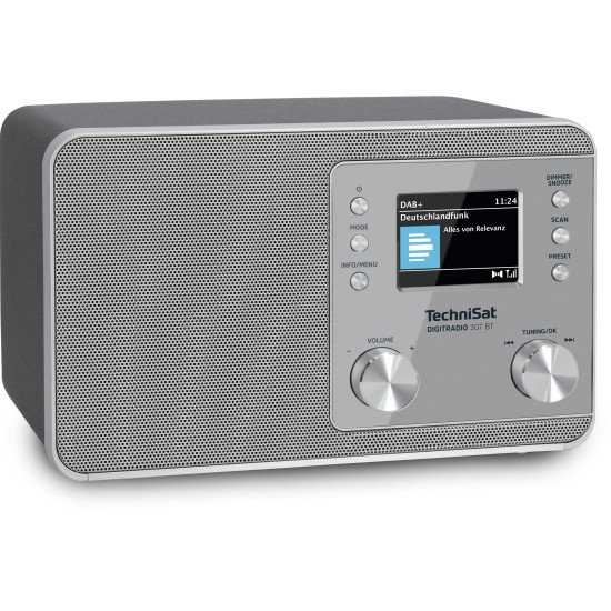 TechniSat Digitradio 307 BT Personnel Analogique et numérique Argent