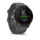 Garmin Forerunner 255 3,3 cm (1.3") MIP 46 mm Gris GPS (satellite) Garmin Forerunner 255 3,3 cm (1.3") MIP 46 mm Gris GPS (satellite)