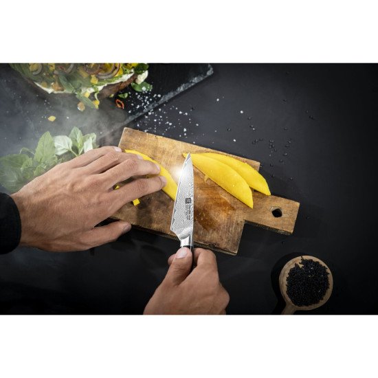 ZWILLING TAKUMI Acier au carbone 1 pièce(s) Peeling knife