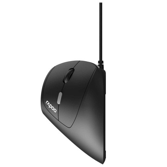 Rapoo EV200 souris Bureau Droitier USB Type-A Optique 1600 DPI