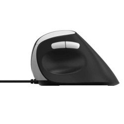 Rapoo EV200 souris Bureau Droitier USB Type-A Optique 1600 DPI