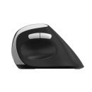Rapoo EV250 souris Bureau Droitier RF sans fil Optique 1600 DPI