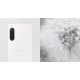 Sony Xperia XQDC54C0W.EUK smartphone 15,5 cm (6.1") Double SIM Android 13 5G USB Type-C 6 Go 128 Go 5000 mAh Blanc
