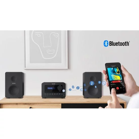 Sharp TOKYO DAB+ HI-FI Micro System Système micro audio domestique 40 W Noir Sharp TOKYO DAB+ HI-FI Micro System Système micro audio domestique 40 W Noir