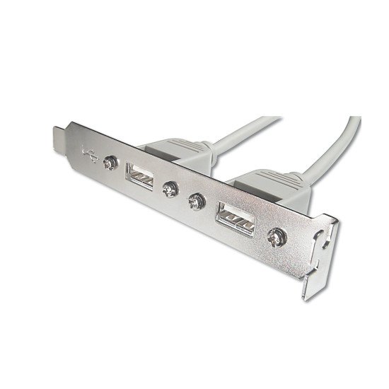 ASSMANN Electronic AK-300301-002-E câble USB 0,25 m USB A IDC Beige