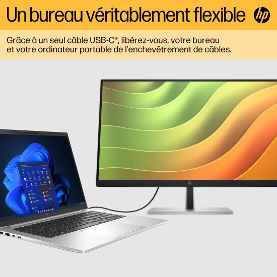 HP E24u G5 60,5 cm (23.8") 1920 x 1080 pixels Full HD LCD Noir, Argent