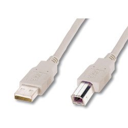 ASSMANN Electronic 1.8m USB 2.0 câble USB 1,8 m USB A USB B Beige ASSMANN Electronic 1.8m USB 2.0 câble USB 1,8 m USB A USB B Beige