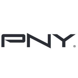 PNY L40S NVIDIA