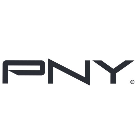 PNY X-PRO 500 Go Noir
