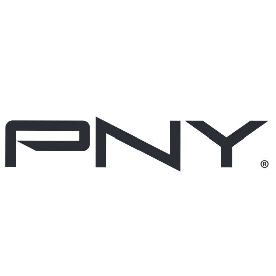 PNY L40S NVIDIA PNY L40S NVIDIA