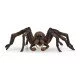 schleich Aragog schleich Aragog