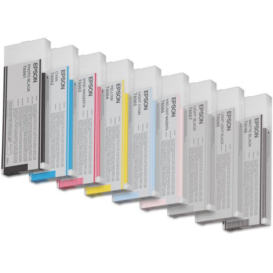 Epson Encre Pigment Gris clair SP 4800/ 4880 (220ml)