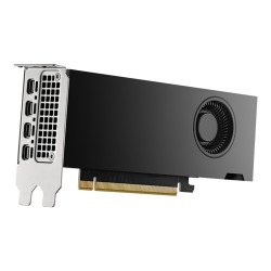 PNY VCNRTX2000ADA-PL carte graphique NVIDIA RTX 2000 Ada 16 Go GDDR6 PNY VCNRTX2000ADA-PL carte graphique NVIDIA RTX 2000 Ada 16 Go GDDR6