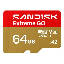 SanDisk Extreme GO 64 Go MicroSDXC UHS-I