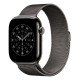 Apple MGJ64ZM/A accessoire intelligent à porter sur soi Bande Couleur ardoise Acier inoxydable Apple MGJ64ZM/A accessoire intelligent à porter sur soi Bande Couleur ardoise Acier inoxydable