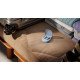 Philips TAT2100 Casque True Wireless Stereo (TWS) Ecouteurs Appels/Musique Bluetooth Bleu clair