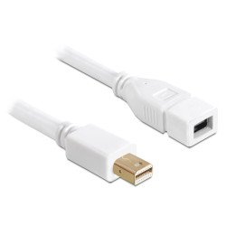 DeLOCK 83144 câble DisplayPort 2 m mini DisplayPort Blanc DeLOCK 83144 câble DisplayPort 2 m mini DisplayPort Blanc