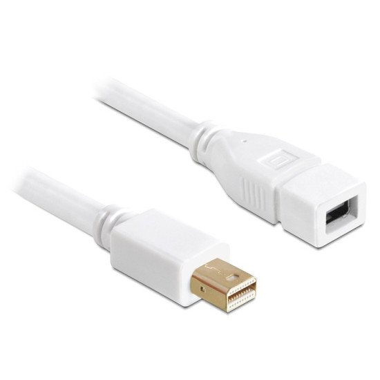 DeLOCK 83144 câble DisplayPort 2 m mini DisplayPort Blanc