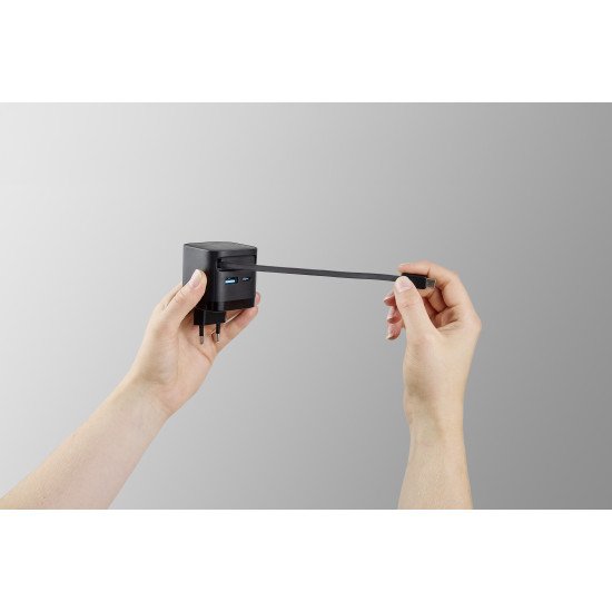 Intenso 7806520 adaptateur de puissance & onduleur Intérieure 65 W Noir