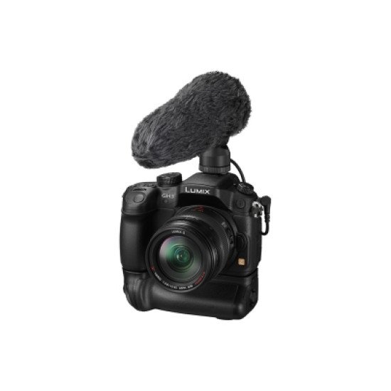 Panasonic DMW-MS2E microphone Noir Microphone de caméscope