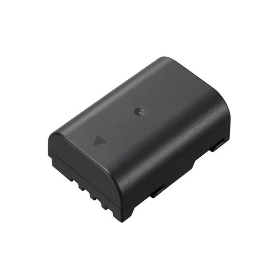 Panasonic DMW-BLF19 Lithium-Ion (Li-Ion) 1860 mAh