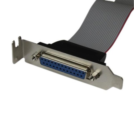 StarTech.com Câble adaptateur de carte mère à faible encombrement avec port parallèle, 40 cm, avec support  DB25 (F) vers IDC26