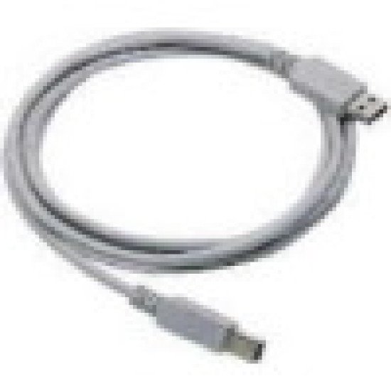 Datalogic Straight Cable - Type A USB câble USB 2 m